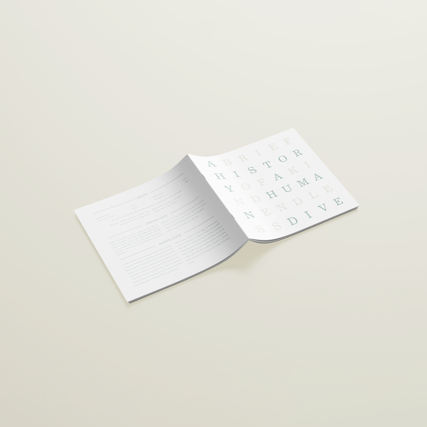 Vinyl - Endless Dive - A Brief History of a Kind Human