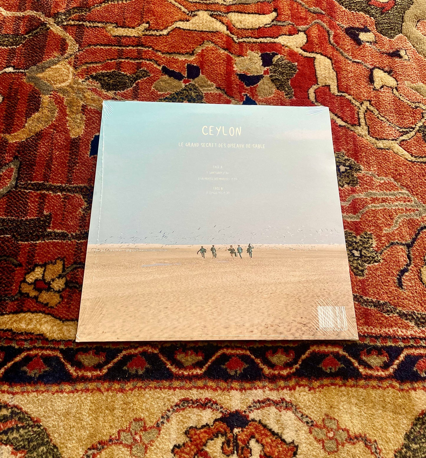 Vinyl - CEYLON - Le grand secret des oiseaux de sable